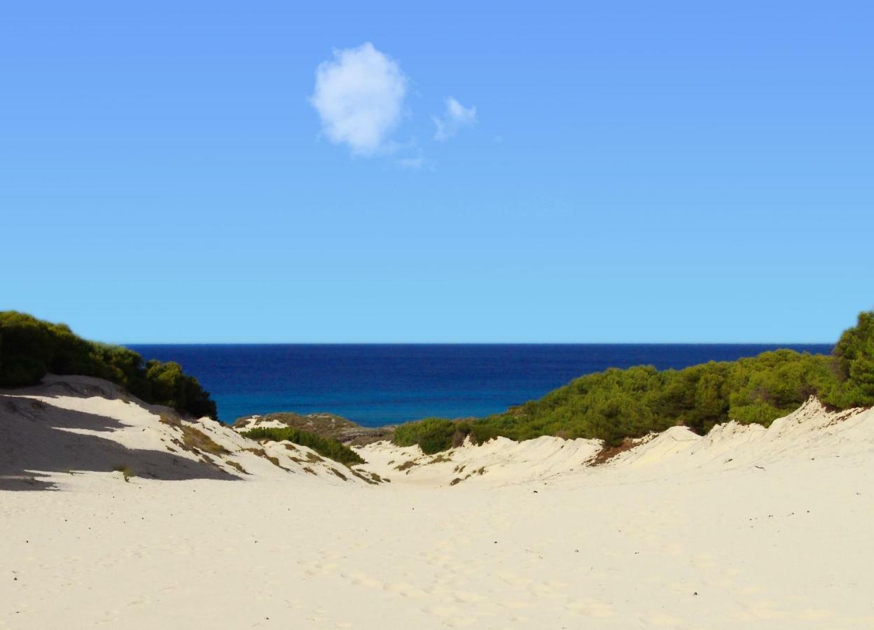 Cas Quinto Ferienhaus Cala Ratjada (Mallorca)